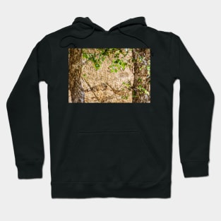 Autograph Rock in Oklahoma Panhandle 2 Hoodie